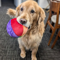 Dog Dish Fluff & Tuff plush mini beach ball toy held in the mouth of a golden retriever dog