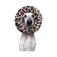 Dog Dish Fluff & Tuff plush python ring toy worn around the neck of a greyhound against a blue background.