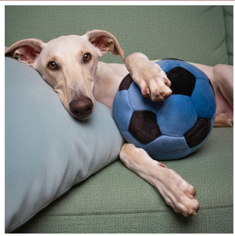 Dog Dish Fluff & Tuff blue and black plush soccer ball toy held by a resting dog on a green sofa