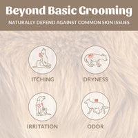 Dog Dish infographic showing how Skout's Honor probiotic shampoo treats dog itching, dryness, irritation, and odor.