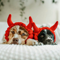 Two dogs wearing red Dog Dish Devil Dog Snood hats with devil horn details while lying on a white bed.