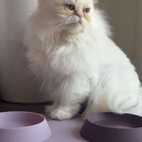 ADC Houndstone silicone cat and teacup dog bowl shown from an alternate angle highlighting its flexible, lightweight design.