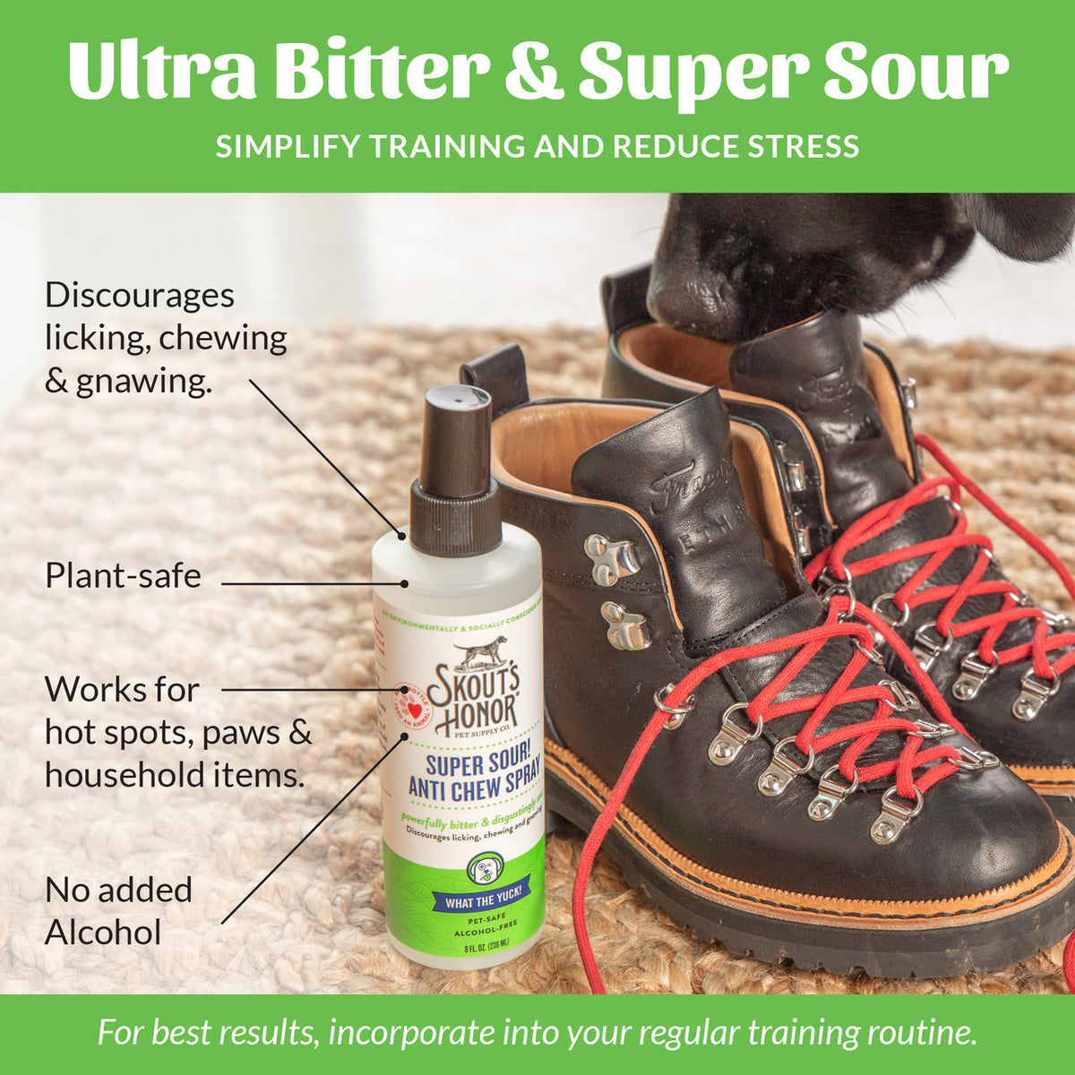 Dog Dish Skouts Honor Super Sour Anti-Chew Spray bottle next to leather boots being sniffed by a dog