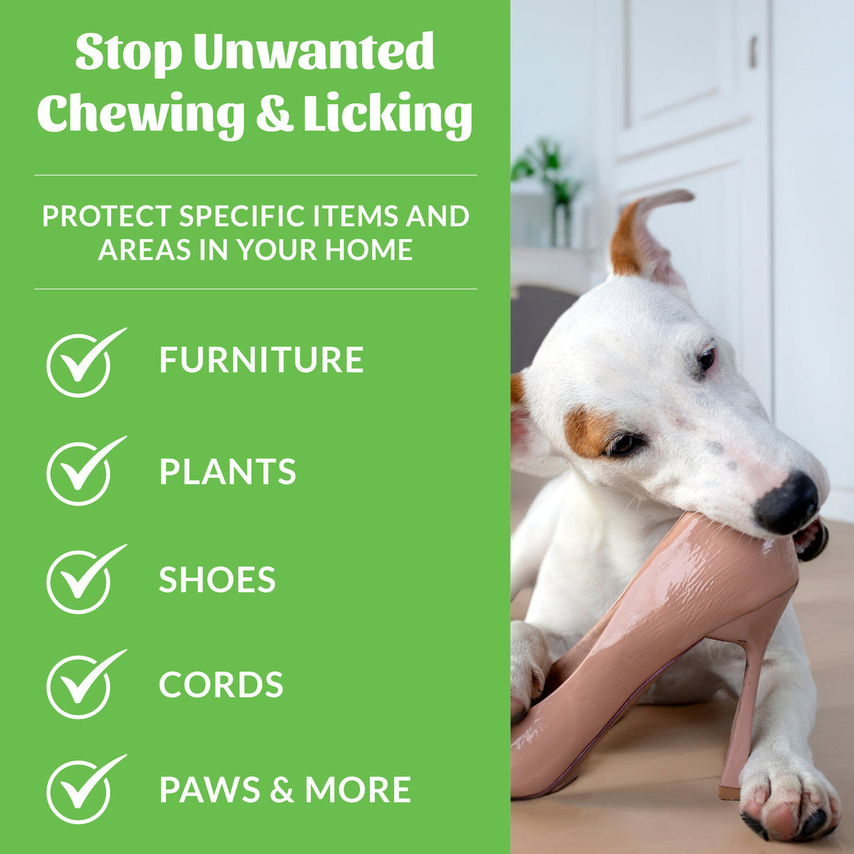 Dog Dish Skouts Honor Super Sour Anti-Chew Spray infographic showing a dog chewing a shoe to prevent destructive habits