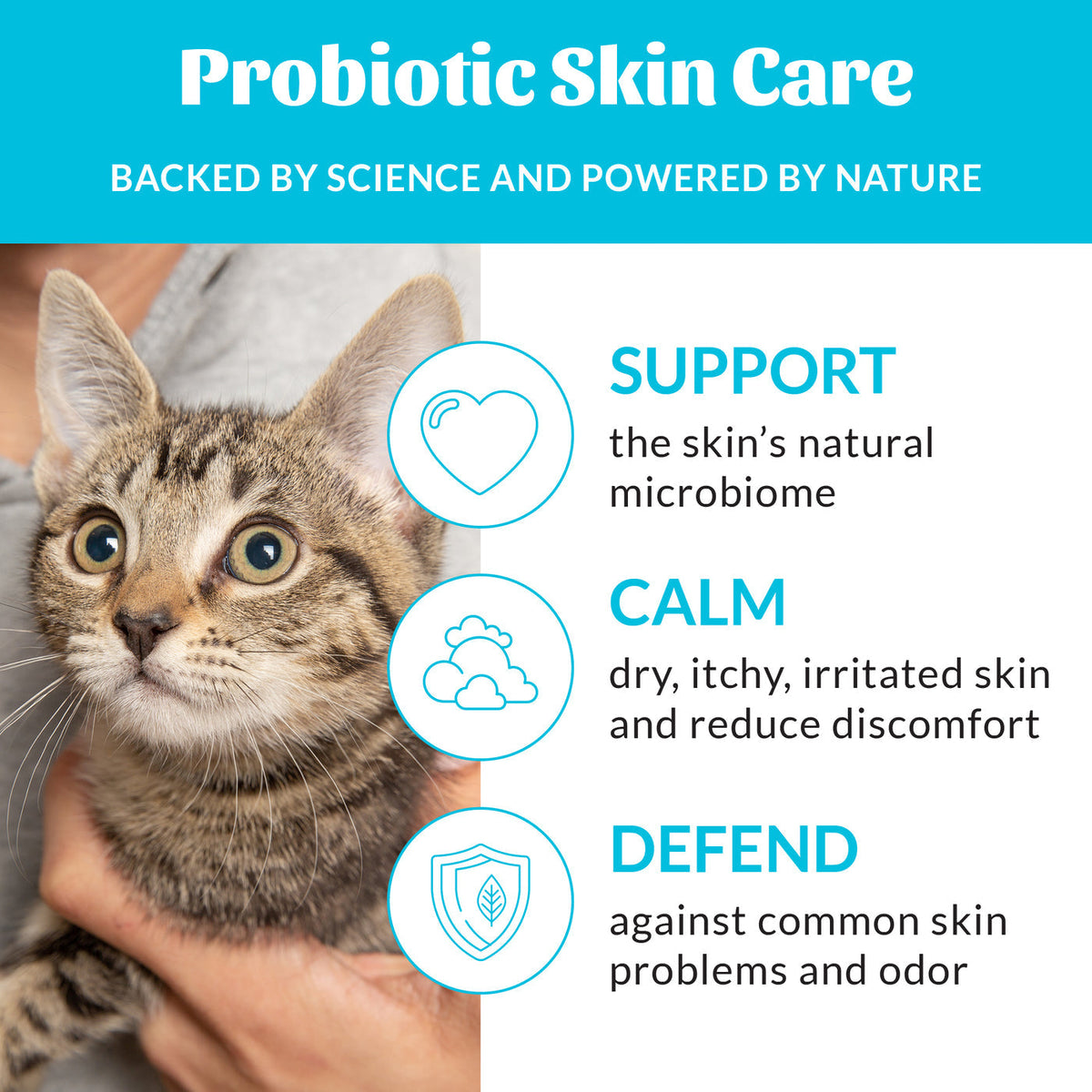 Dog Dish Skouts Honor fragrance-free probiotic cat shampoo benefits for skin support, calming, and defense.