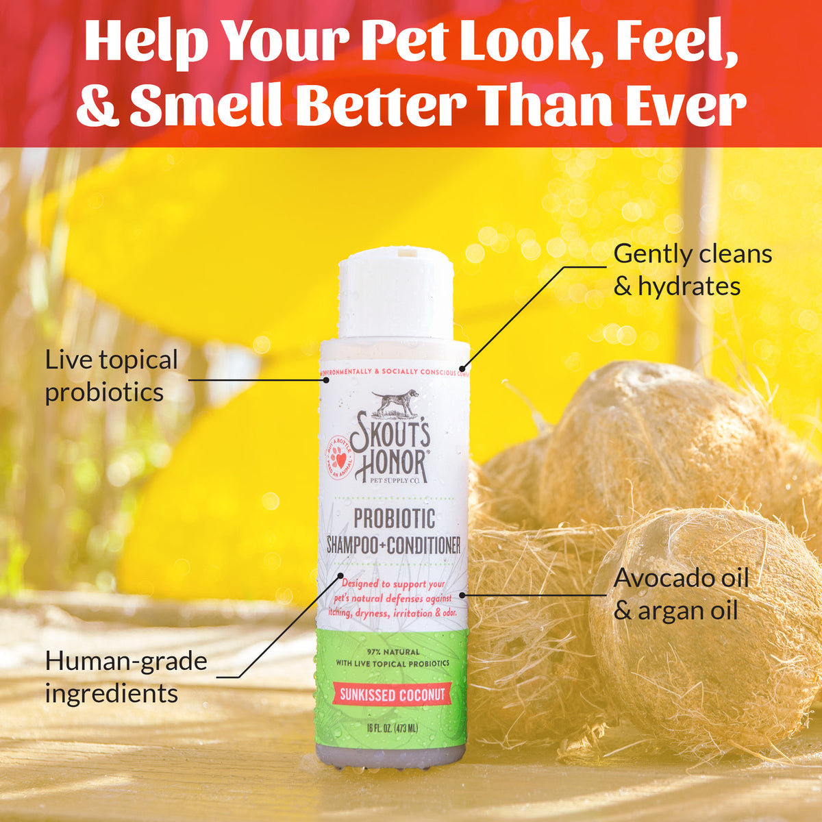 Dog Dish Skout's Honor probiotic coconut shampoo bottle with avocado and argan oil for healthy dog skin and coat