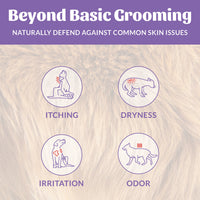 Dog Dish infographic showing how Skout's Honor lavender deodorizer helps pets with itching, dryness, irritation, and odor.