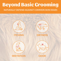 Dog Dish Skout's Honor Honeysuckle Deodorizer infographic showing icons for pet itching, dryness, irritation, and odor.