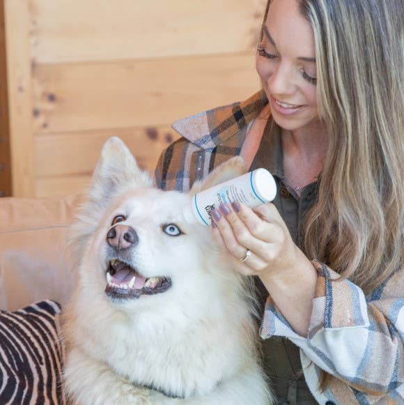 Dog Dish owner applying Skout's Honor HydroClear Eye Wash to a fluffy white dog's eye for gentle cleansing