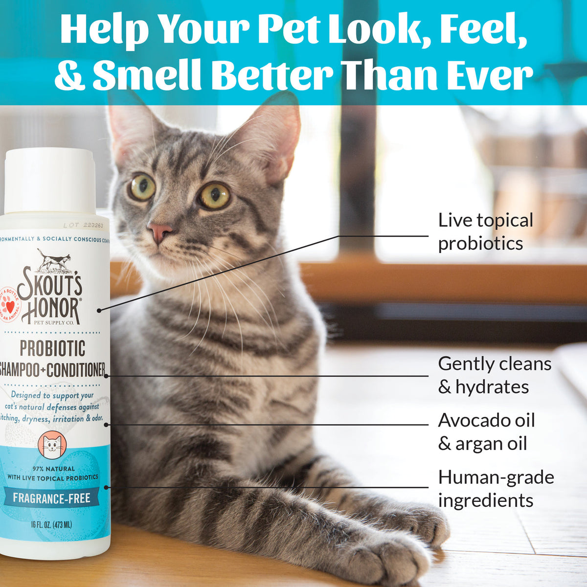 Dog Dish Skouts Honor fragrance-free probiotic cat shampoo bottle next to a grey tabby cat on a wooden floor.