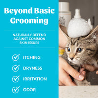 Dog Dish Skouts Honor fragrance-free cat shampoo with probiotic formula being used on a kitten with a soap bubble hat