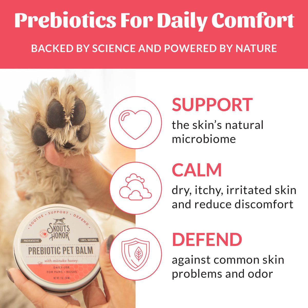 Dog Dish Skouts Honor Prebiotic Pet Balm tin held in hand with a dog paw in the background, featuring skin benefits.