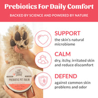 Dog Dish Skouts Honor Prebiotic Pet Balm tin held in hand with a dog paw in the background, featuring skin benefits.