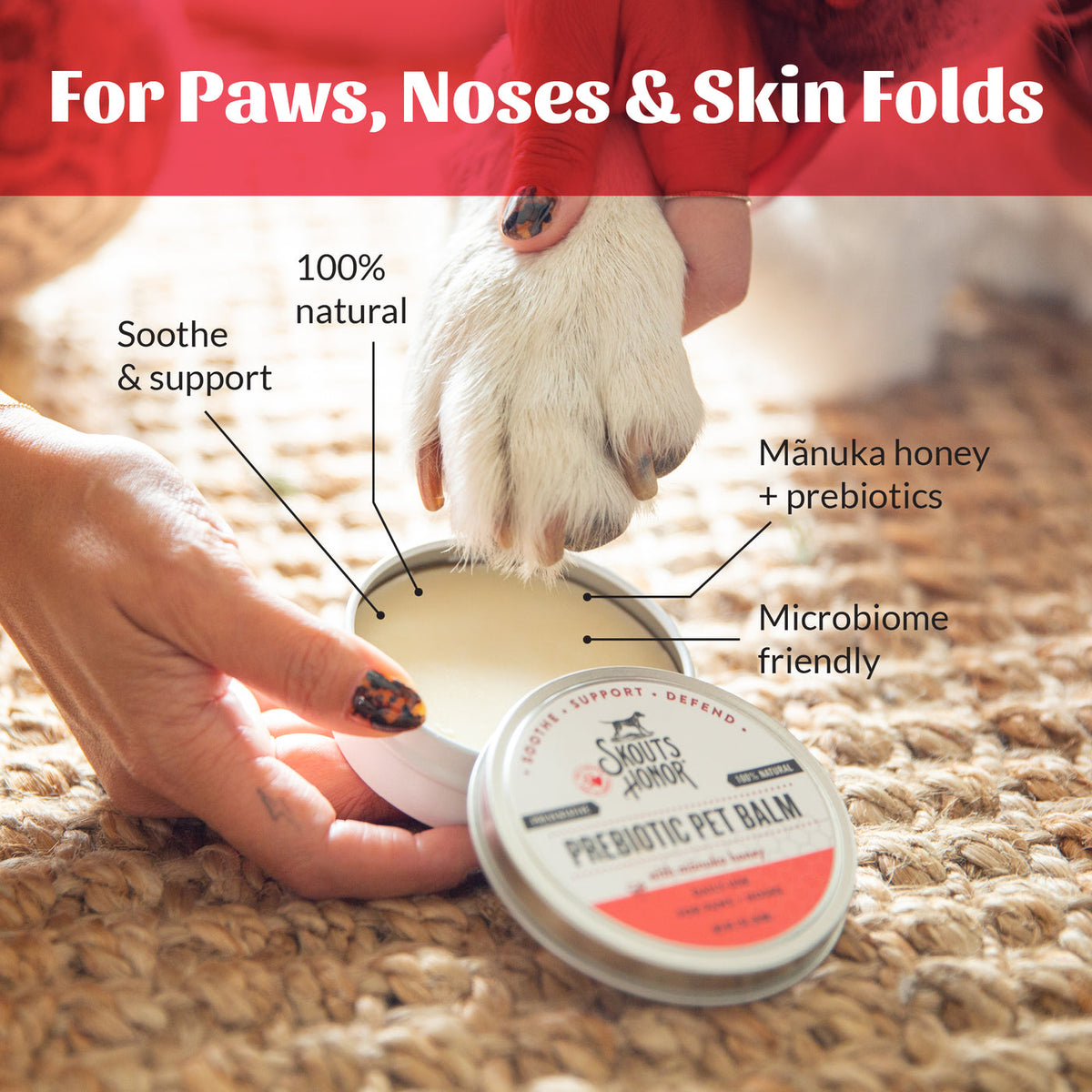 Dog Dish Skouts Honor Prebiotic Pet Balm in a tin being applied to a dog's paw to soothe dry skin and noses.