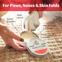 Dog Dish Skouts Honor Prebiotic Pet Balm in a tin being applied to a dog's paw to soothe dry skin and noses.