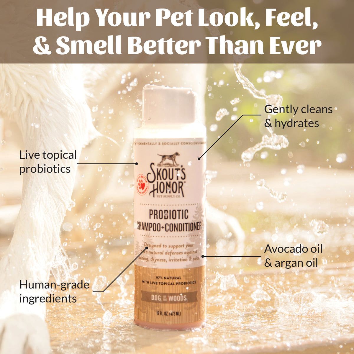 Dog Dish Skout's Honor probiotic shampoo and conditioner bottle with avocado and argan oil for healthy dog skin