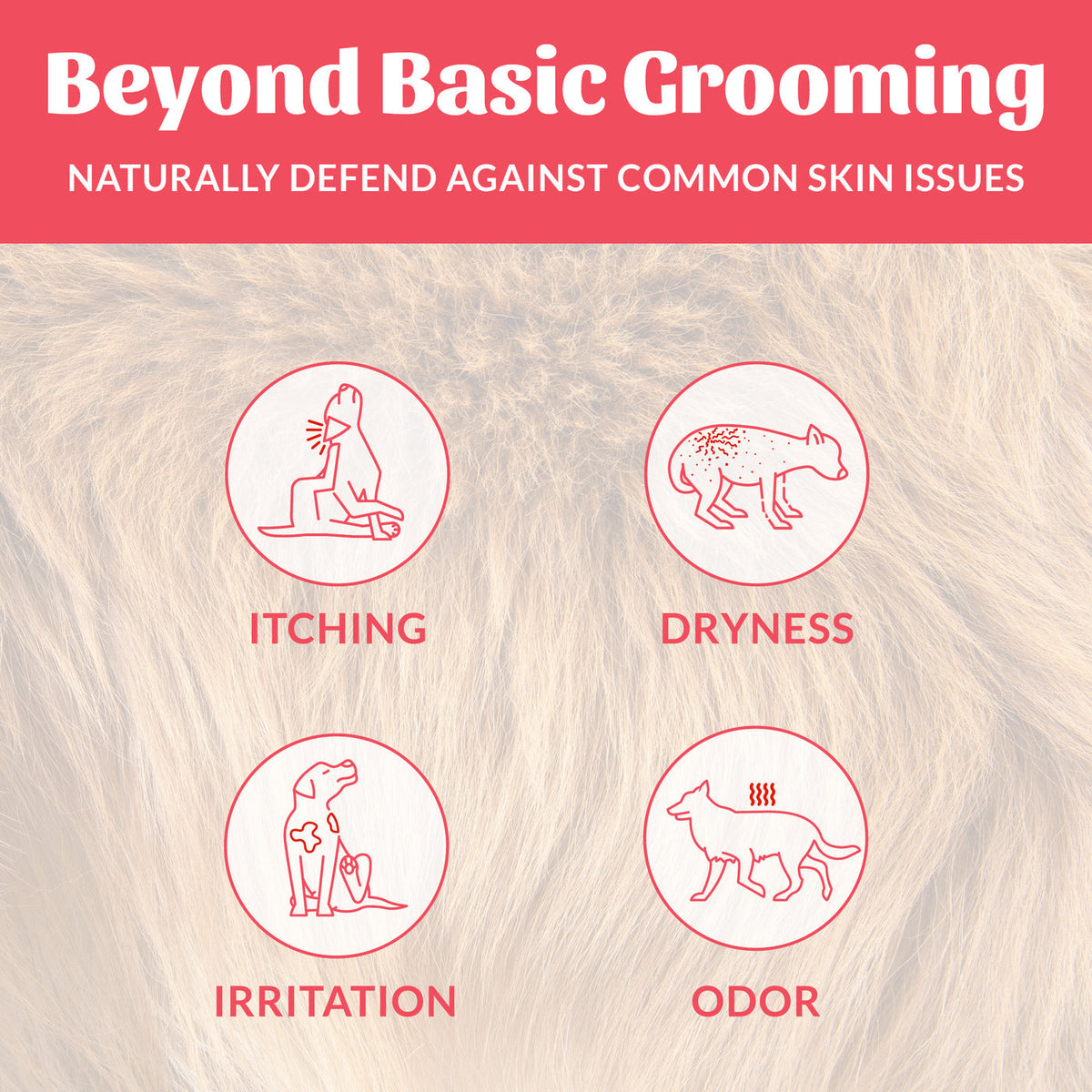 Dog Dish Skout's Honor probiotic shampoo infographic showing relief for dog itching, dryness, irritation, and odor.