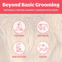 Dog Dish Skout's Honor probiotic shampoo infographic showing relief for dog itching, dryness, irritation, and odor.