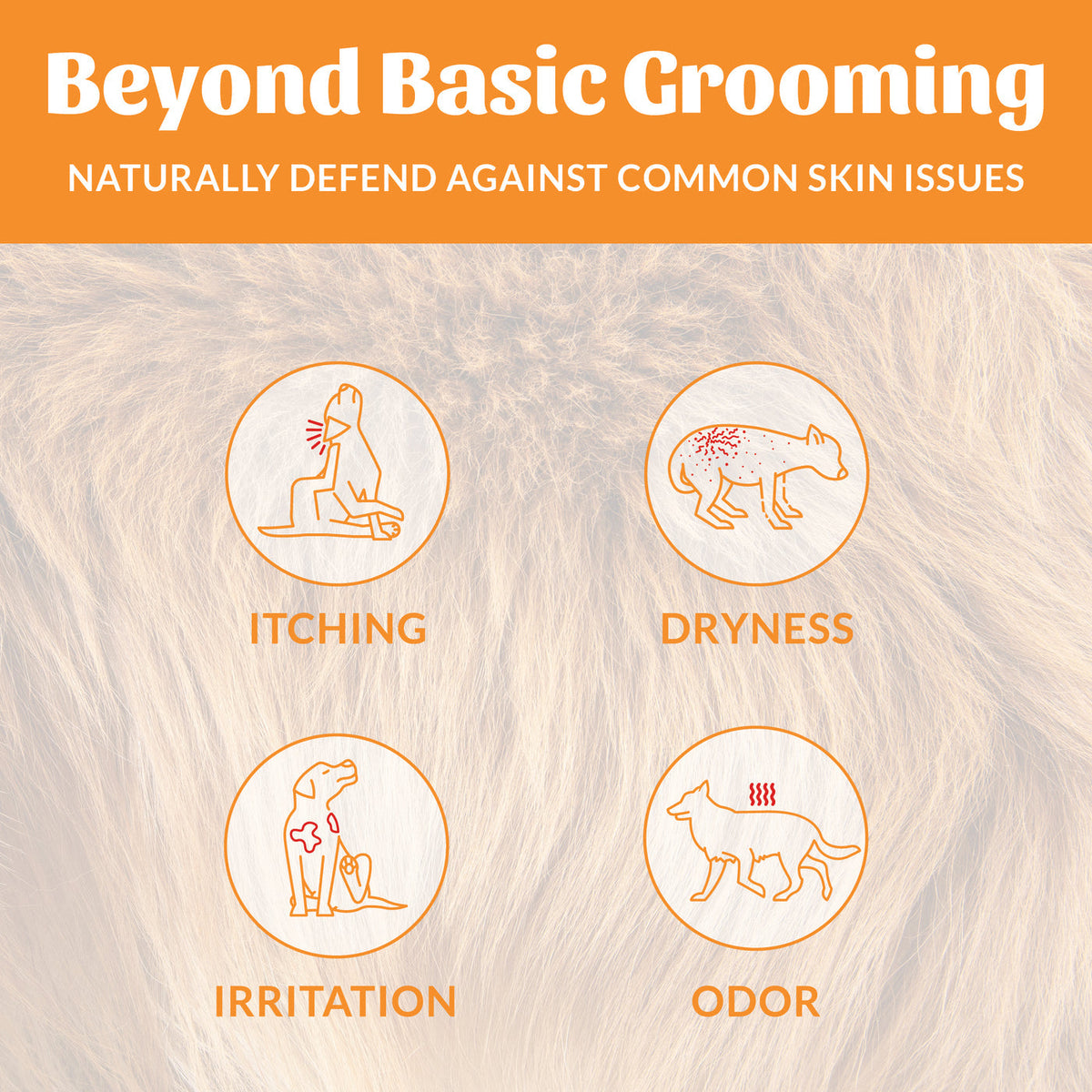 Dog Dish Skout's Honor probiotic shampoo infographic showing relief for dog itching, dryness, irritation, and odor.