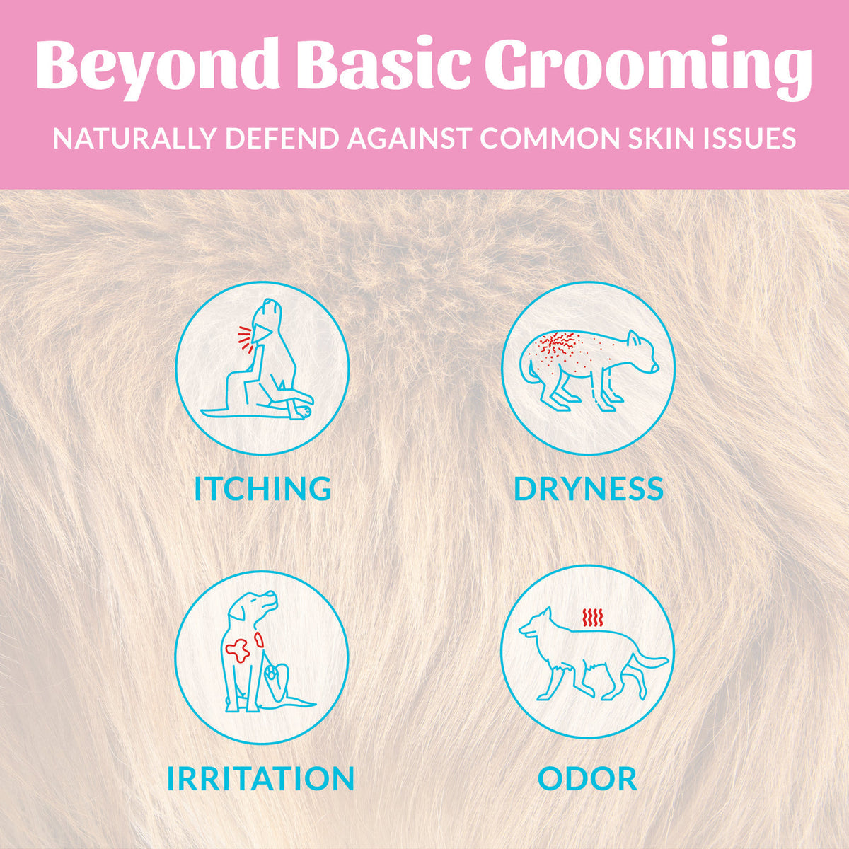 Dog Dish Skout's Honor Happy Puppy Shampoo infographic showing relief for itching, dryness, irritation, and odor.
