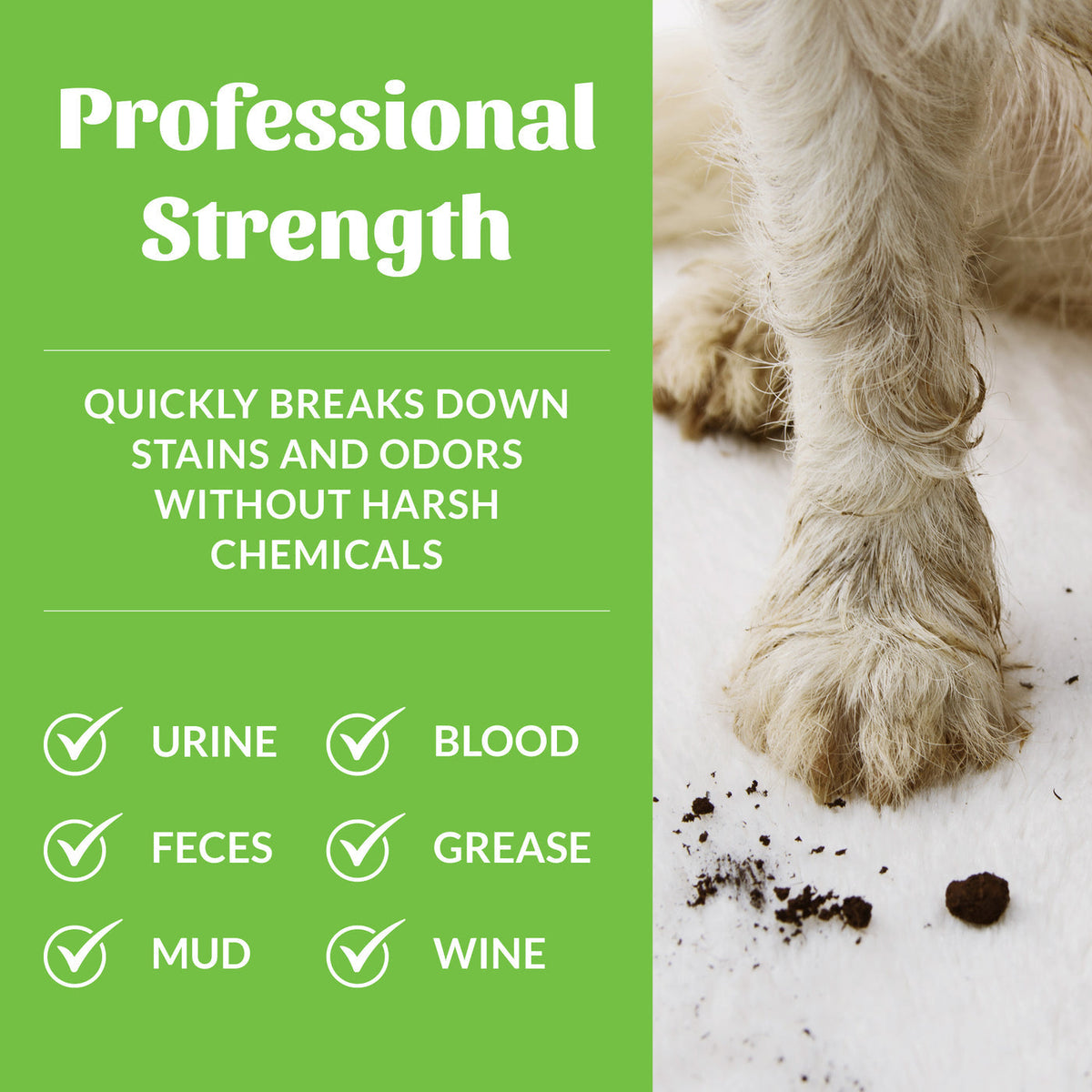 Dog Dish Skout's Honor professional strength stain and odor remover infographic showing a muddy dog paw on carpet