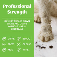 Dog Dish Skout's Honor professional strength stain and odor remover infographic showing a muddy dog paw on carpet
