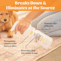 Dog Dish Skout's Honor Urine Destroyer spray bottle being held over a carpet with a puppy in the background