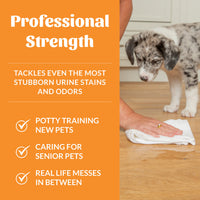 Dog Dish Skout's Honor Urine Destroyer being used by a person with a white cloth on a floor near a spotted puppy.