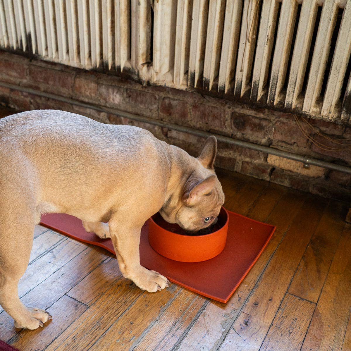 ADC Houndstone & Co. silicone dog bowl shown from an alternate angle highlighting its flexible, durable design.