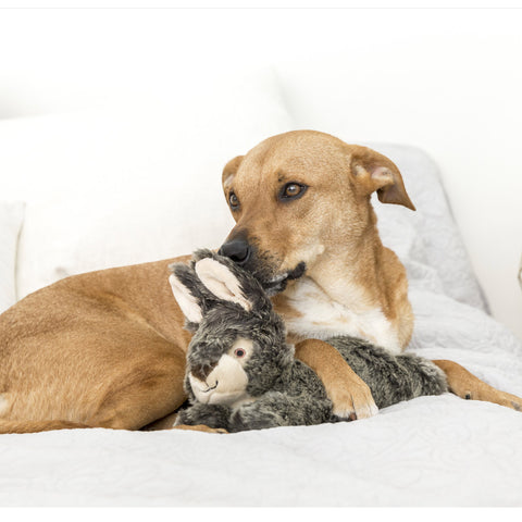 Dog Dish Fluff & Tuff Walter Wabbit plush toy being cuddled by a brown dog on a white bed