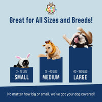 Dog Dish Zoo Snoods knit animal hats for dogs in small, medium, and large sizes on three different dog breeds.