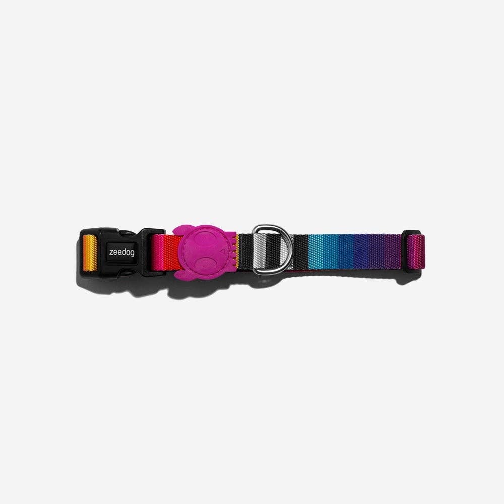 Zee.Dog Prisma collar shown on a dog during an outdoor walk or lifestyle setting.