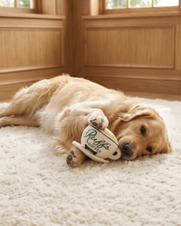 Haute Diggity Dog Ruff's Coffee Cup plush squeaky toy shown with a playful dog enjoying it.