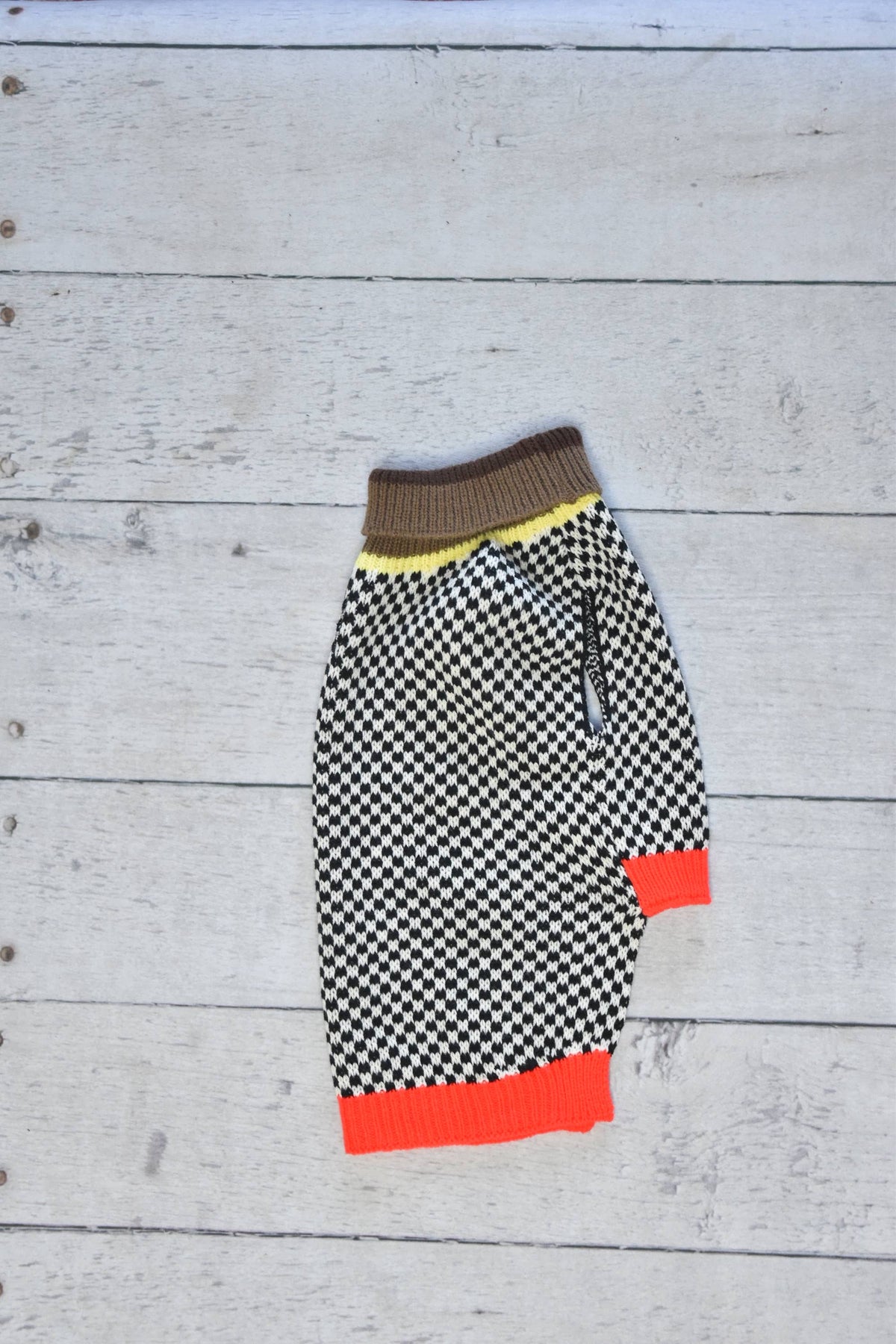 Dog wearing the Finnegan's Standard Goods Cafe Stroll Sweater outdoors, shown from a side angle.