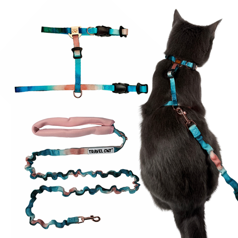 Travel Cat H-Style cat harness shown on feline demonstrating adjustable fit and coordinated bungee leash attachment.