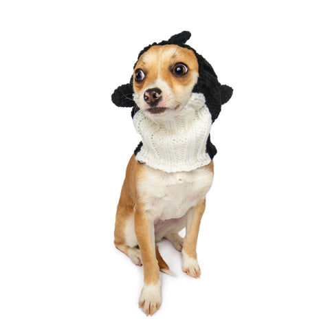 Orca Dog Snood