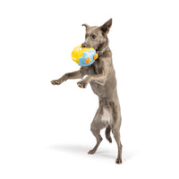 Chick-A-Dee Dog Toy