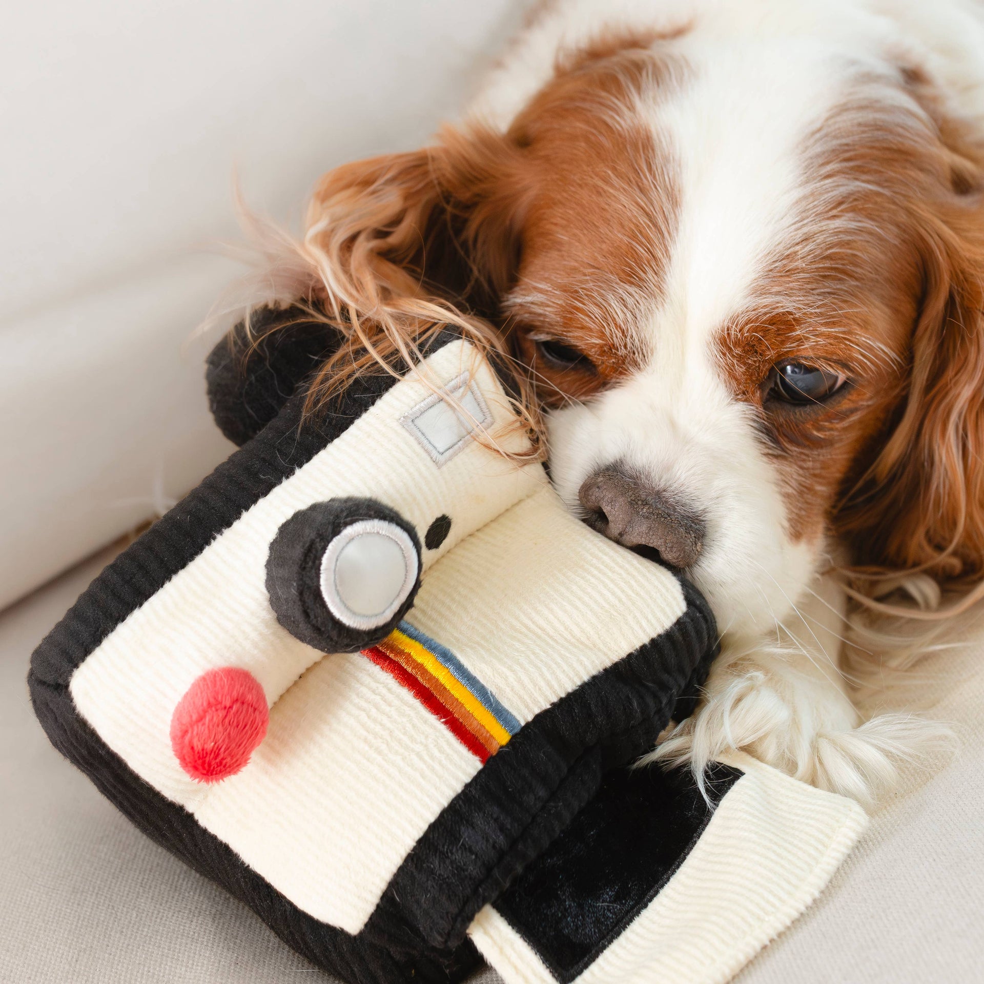 Lambwolf Collective Instant Camera enrichment toy shown from multiple angles displaying plush construction and interactive features.