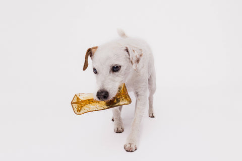 Mighty Marrows Dental Chew | Pork & Parsley
