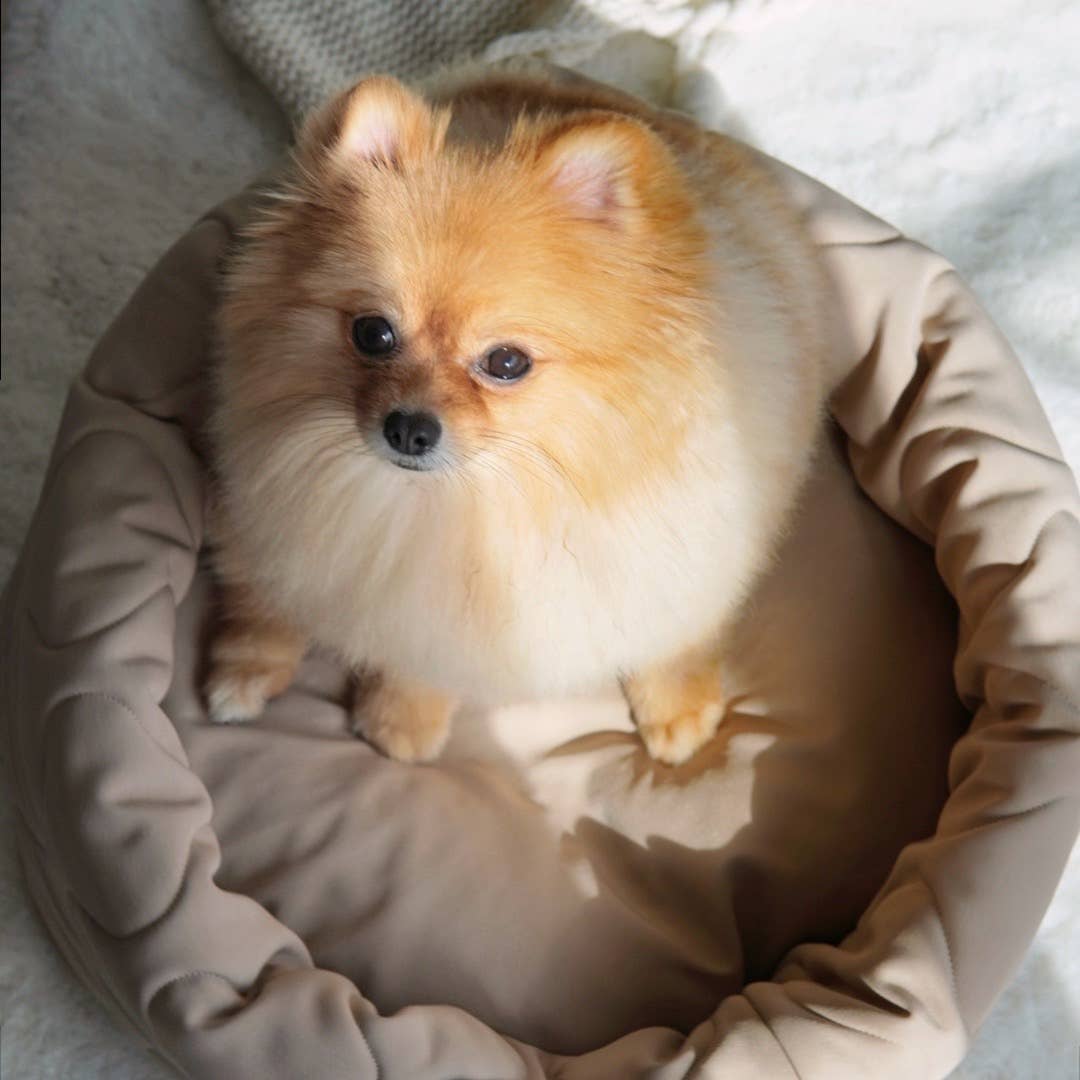 Lambwolf | Taart Pet Bed