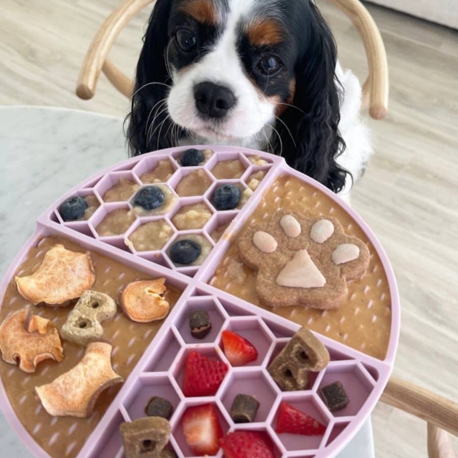 Bark Bistro | Buddy Budder | Beehive Buzz