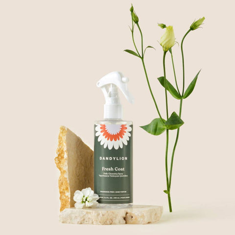 Dandylion | Waterless No-Rinse Shampoo