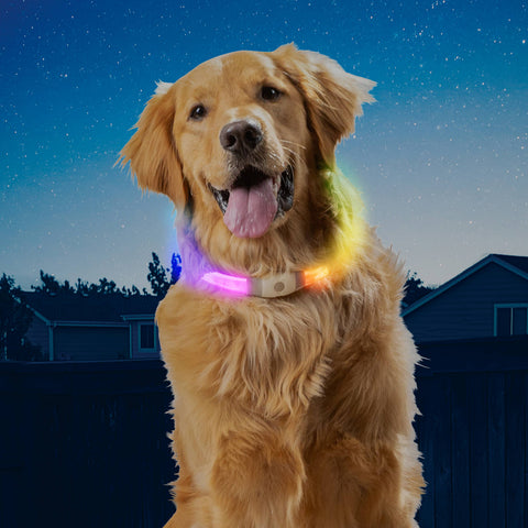 Nite Ize NiteHowl Max LED safety collar showing rechargeable charging port and adjustment mechanism details.