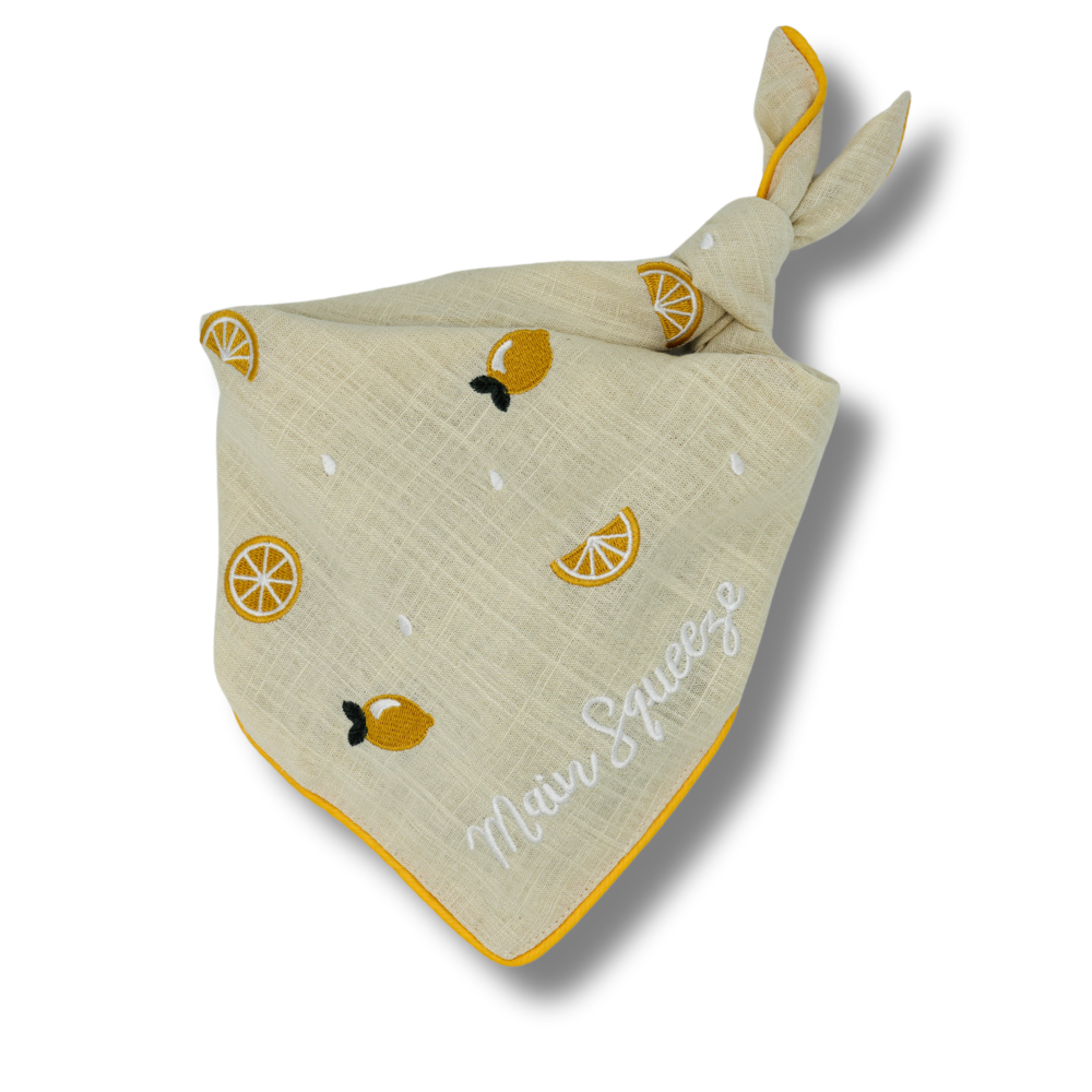 Main Squeeze Dog Bandana