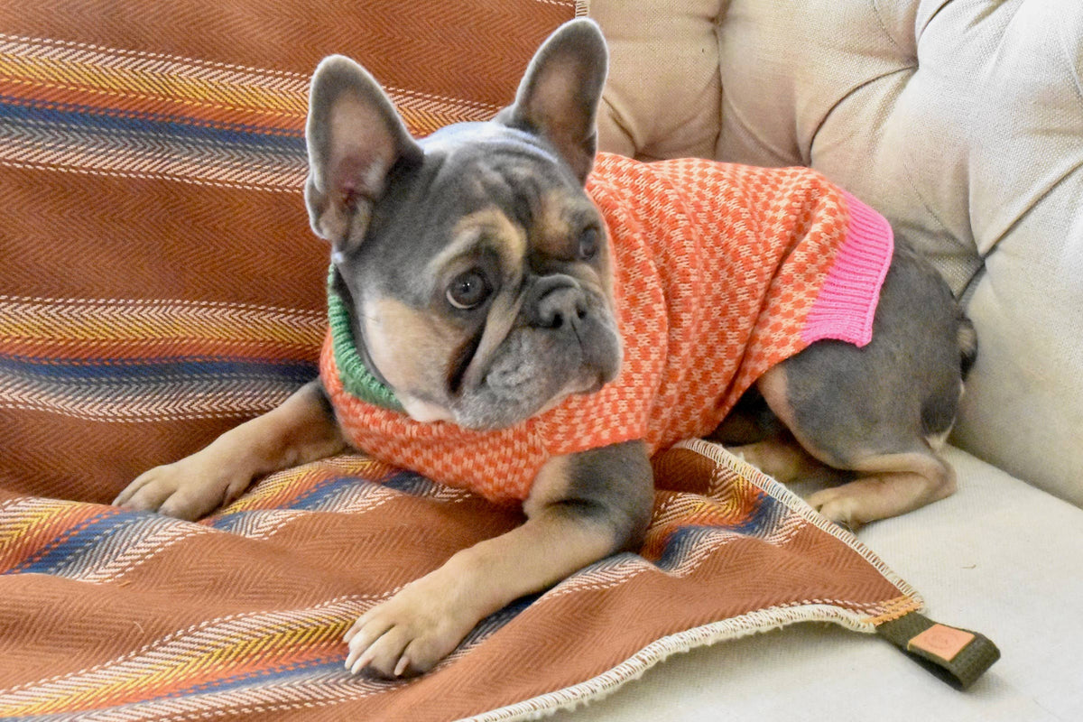 Close-up detail of the Finnegan's Standard Goods Gingersnap Checker Sweater showing its warm plaid knit pattern.