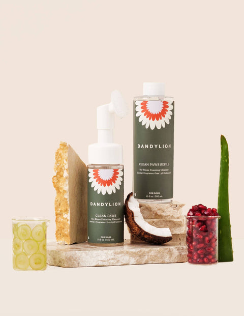 Dandylion | Clean Paws Foaming Cleanser | Refill