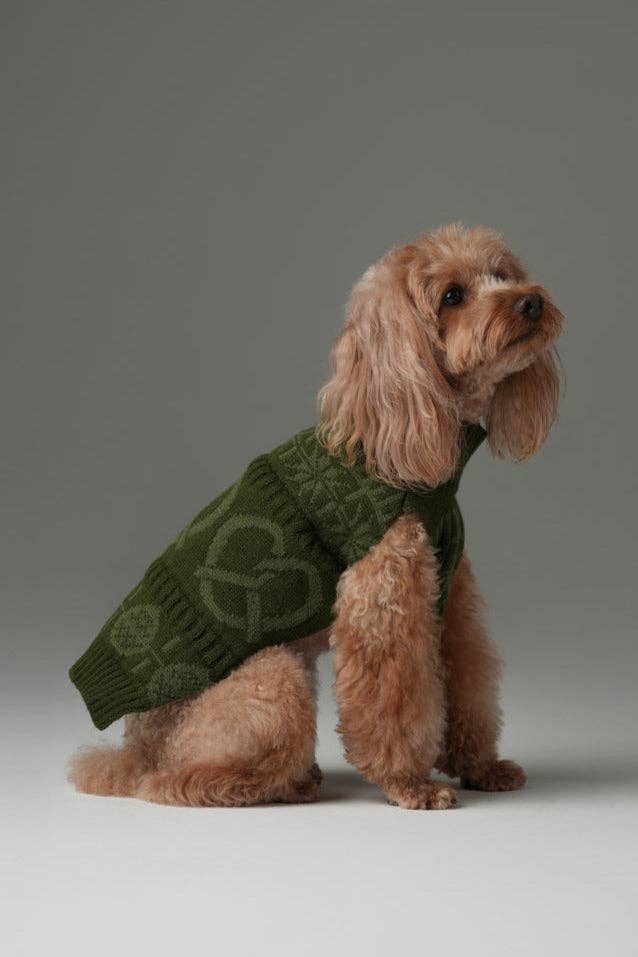 PEHOM Pretzel Sweater dog sweater shown from an alternate angle highlighting fit and texture details.