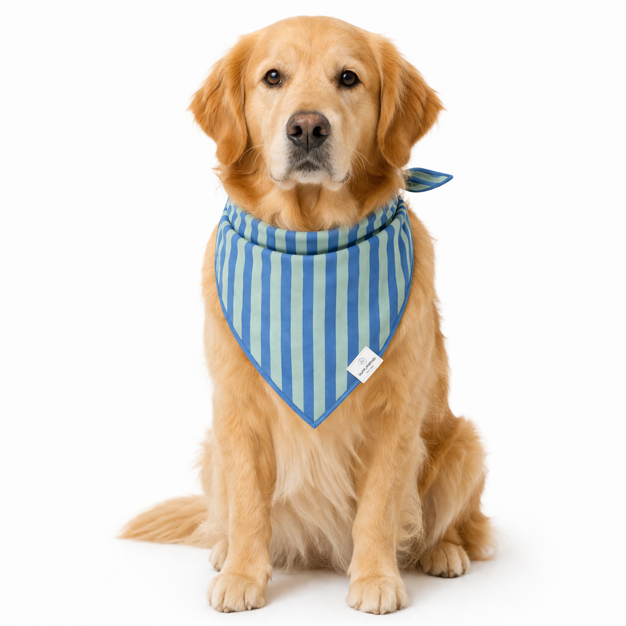 Close-up detail of the rufflifepals Blue Stripe dog bandana showing fabric texture and stripe pattern.