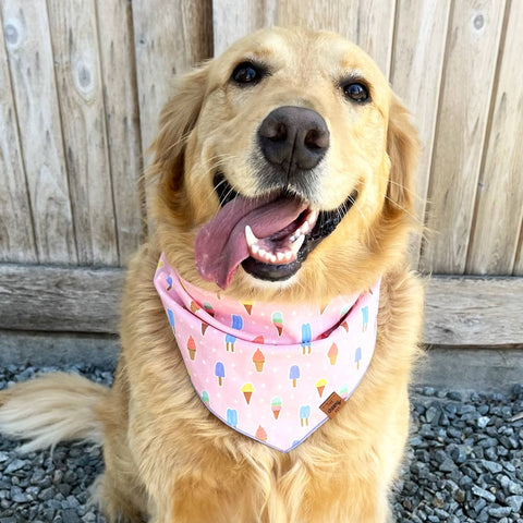 Ice Cream Pet Bandana