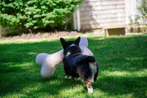 HuggleGroup | HuggleFleece® 2' Bone